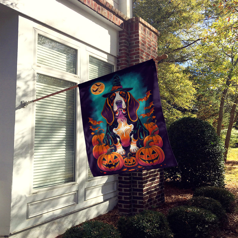 Drapeau de jardin d'Halloween en polyester Jammal, 40 po x 28 po