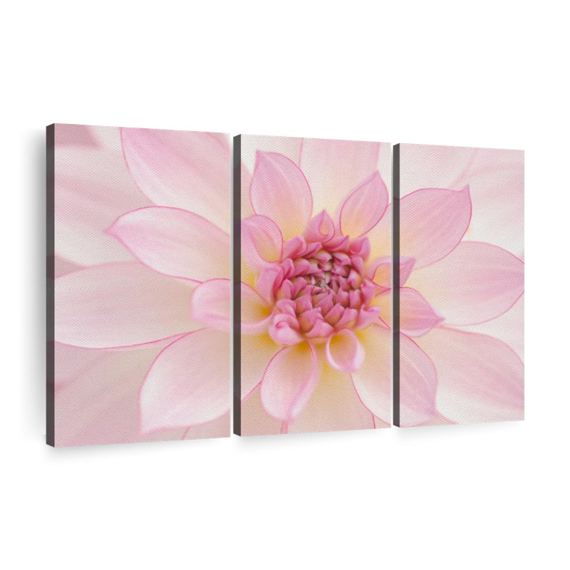 «Light Pink Dahlia Petals», 3 pièces sur toile, H 28 po x l 45 po