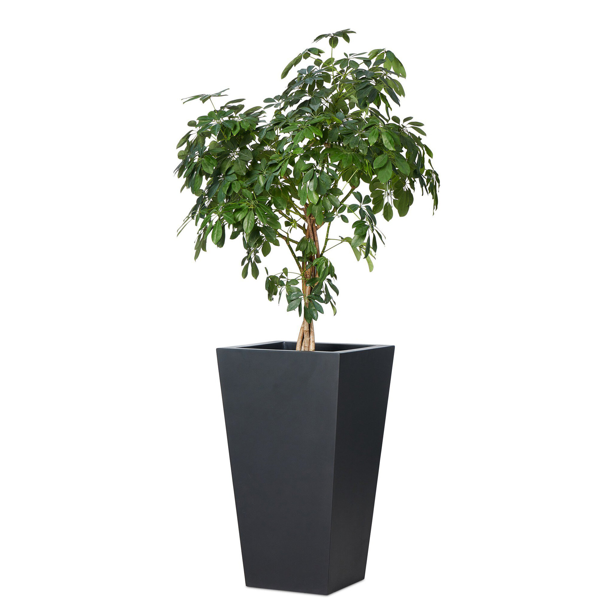 Nael Planter Box, 32" H x 18" W x 18" D, Black