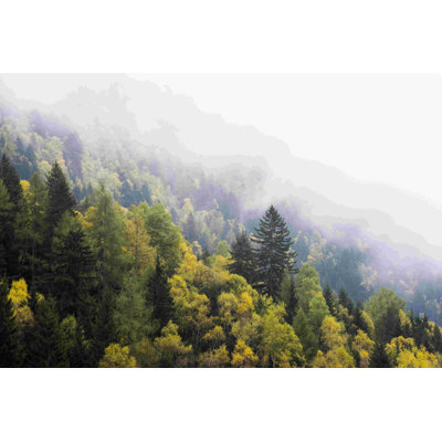 " Foggy Green Mountain Photography "