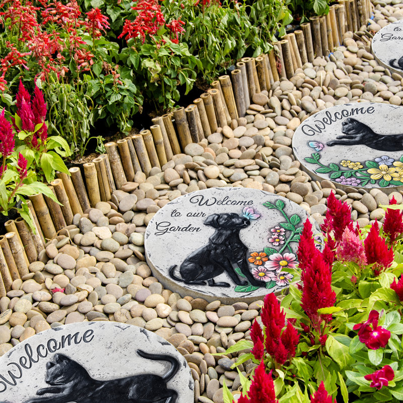 Ensemble de tremplin de jardin avec pierres pour chat et chien
