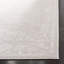 Reflection Oriental Area Rug In Creme / Ivory-1893901756