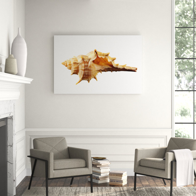 Sea Shell Horn Print, 16" H x 20" W x 2.5" D, Aluminum