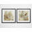 " Nature Notation " 2 - Pieces-27609984
