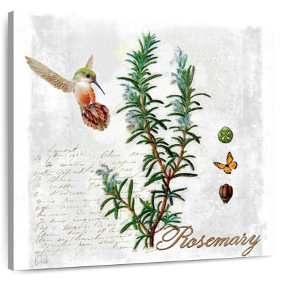 Harnek Botanical Garden Rosemary Herb