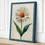 Pale Daisy Study Botanical - Wrapped Canvas-138198702-138198864