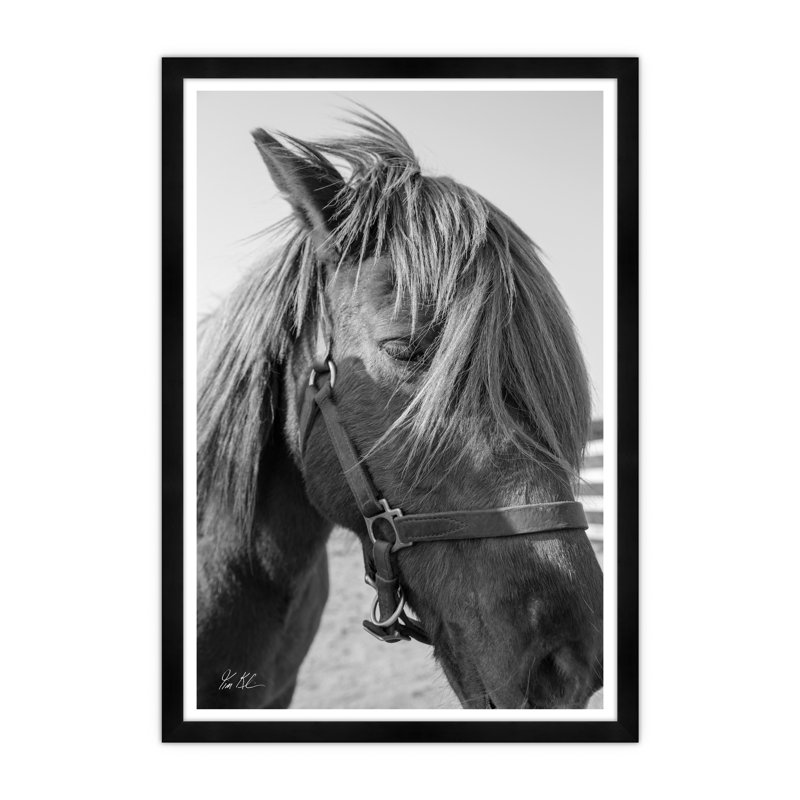 Rodi Portrait Print by Tim Klein