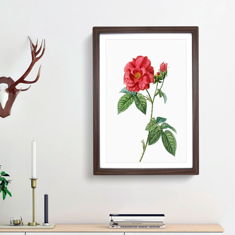 Blooming French Roses by Pierre-Joseph Redoute - Picture Frame Art Print, 48cm H x 36cm W x 2cm D, Walnut Framed