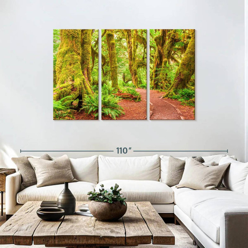 Mossy Hoh Rainforest Trees, H 48 po x l 74 po