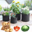 Tonecia Nursery Pot-955849022
