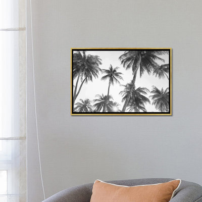 " Tropical In Black & White " by Sisi & Seb