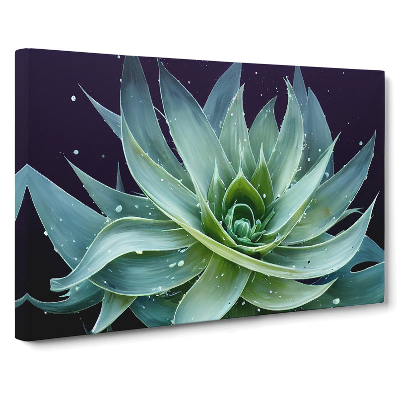 Electrifying Aloe Vera Plant - Wrapped Canvas, 35cm H x 50cm W x 3cm D