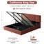 Lit plateforme tapissier Coletti-1014874738-1029393275