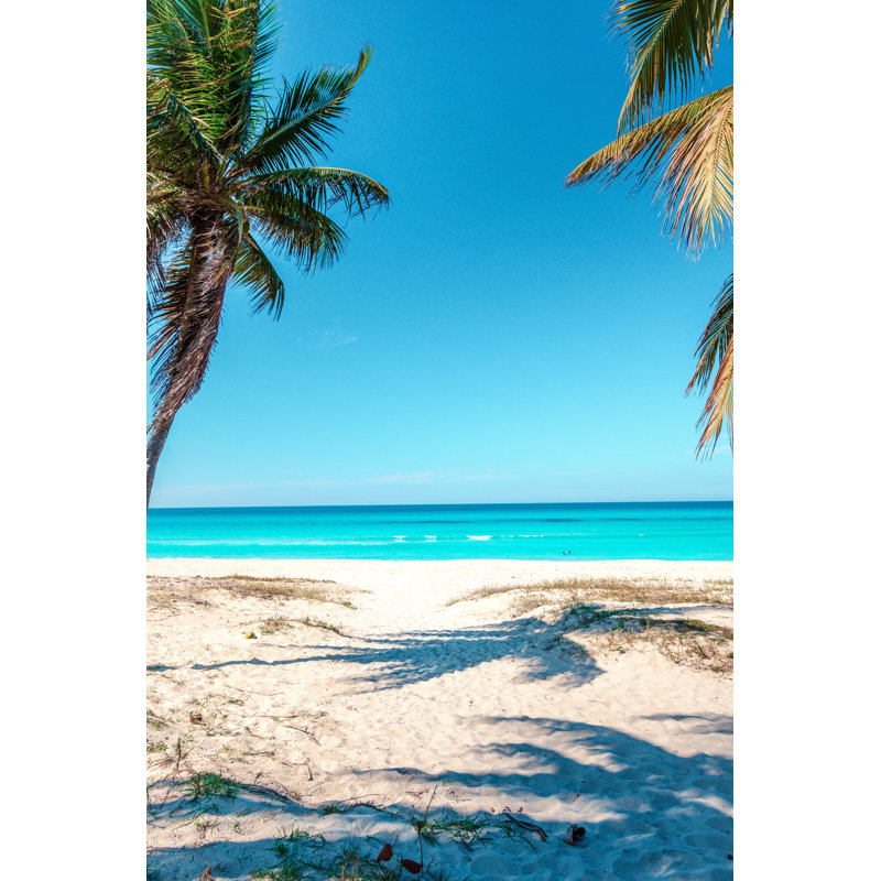 Caribbean Beach With Palm - Wrapped Canvas Print, 46cm H x 30cm W x 3.8cm D