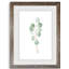Douce branche d'eucalyptus III - Peinture encadrée sur papier-1908356517-1908356516