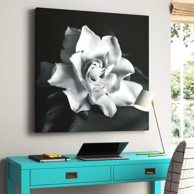 "Gardenia" par Debra VanS vêtementsingen, photographie de fleur sur toile tendue, H 36 po x l 36 po, Chêne blanc