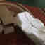 Photos des clients 3 de 3