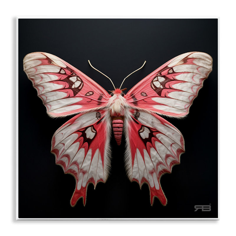 Art mural rouge et blanc sur papillon de nuit par Roozbeh Bahramali