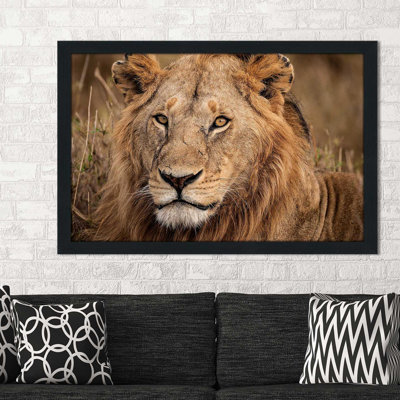 «King of The Wild II», reproduction de photo