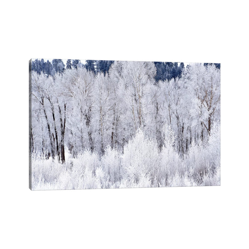 Frosty Morning by Brian Wolf - Wrapped Canvas Print, 20.32cm H x 30.48cm W x 1.91cm D