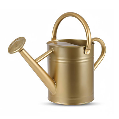 Metal Watering Can with Removable Spout, Galvanized 1 gal., Perfect for Indoor & Outdoor Use (Yellow)