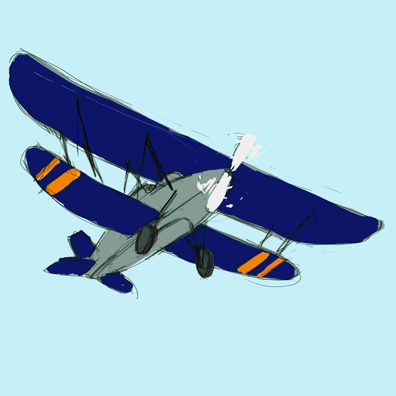 " Plane ", 36" H x 36" W  