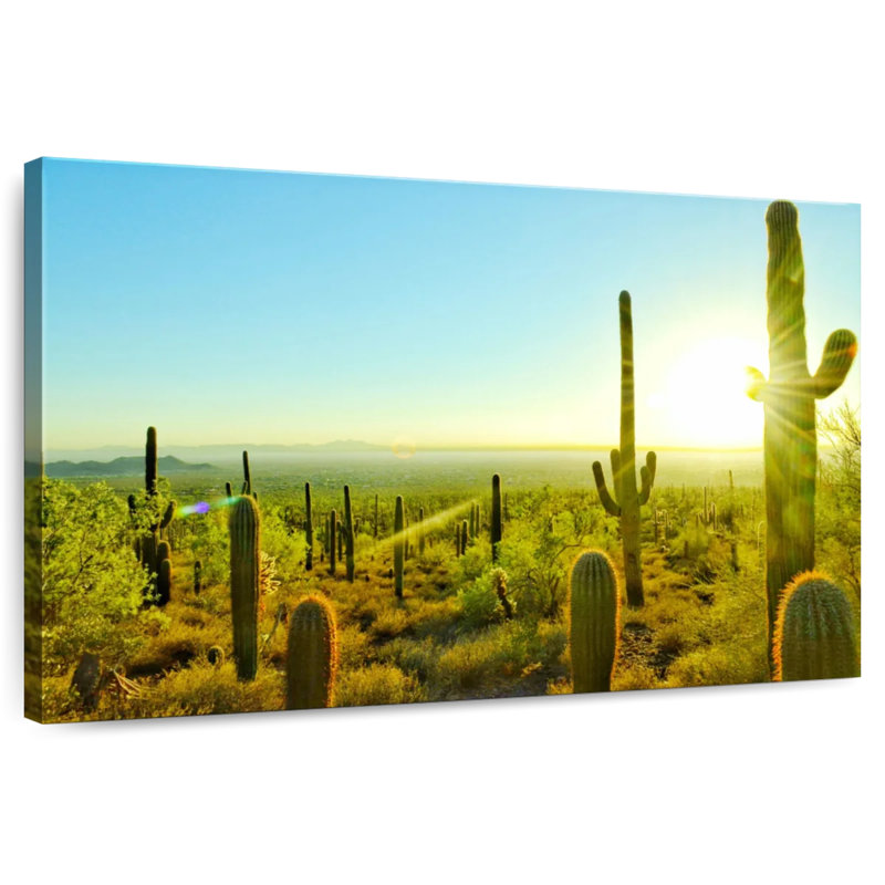 Harnek Sunny Arizona Cactus, 8" H x 12" W