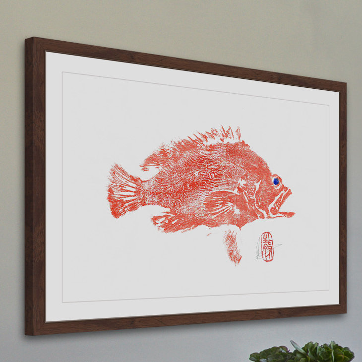 « tacheté grouper », reproduction d’art encadrée, H 12 po x l 18 po x P 1,5 po