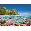 3AP5603 Underwater Life by Pangea Images - Wrapped Canvas Art Prints-1512331186