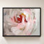 «Flower Soul» par Danhui Nai, impression sur toile-130842983-130842987