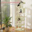 Cat Tree 208cm H Cat Tree-839236729