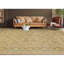 Wool Oriental Area Rug in Gold/Olive-226475791