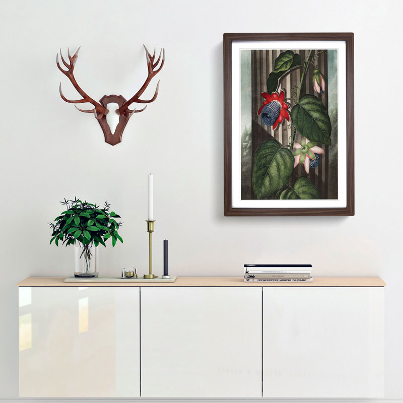 Winged Passion-Flower by R.J. Thornton - Picture Frame Painting Print, 65cm H x 48cm W x 2cm D, Walnut Framed
