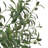 Faux Olive Tree Tree-898017247