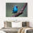 Brampt Vivid Blue Bird-107708453