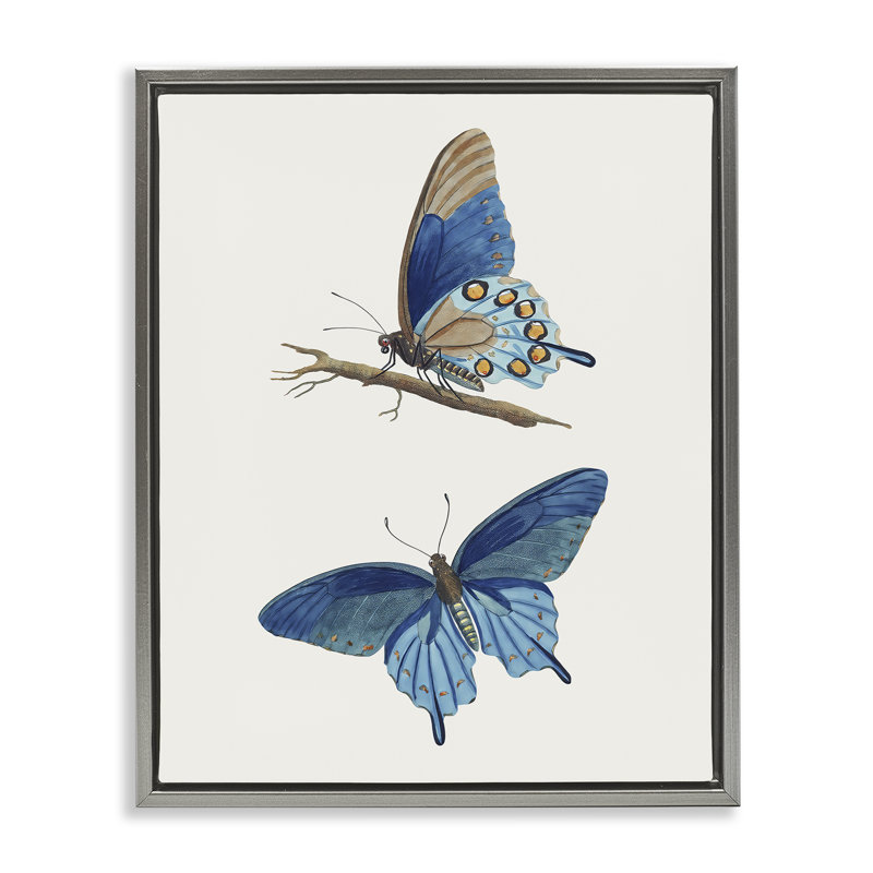 Cadre flottant bleu avec papillons bleus, design par Arlington Prints, H 31 po x l 25 po, Cadre flottant gris lustré