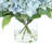 Keenum Hydrangea Floral Arrangement in Vase-98496616