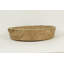 Solid Wood Decorative Tray