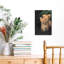 Curious Lion Cubs Peaceful Contemporary Cat Lion Nature Wildlife Wall Art Print by Ahmed Sobhi - Wrapped Canvas Print-713196893