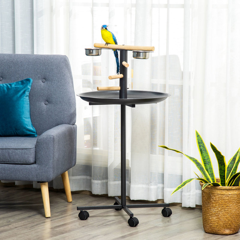 Perchoir portatif, quatre roues, bols en acier inoxydable, gris, support à oiseaux pratique avec alimentation ergonomique