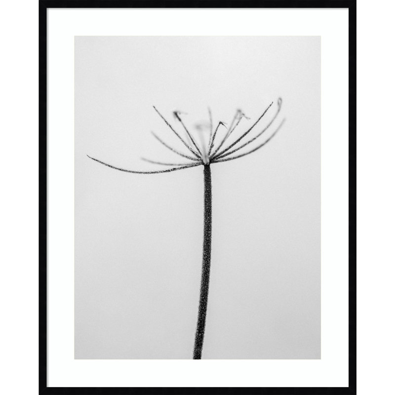 «Amid the Flowers 6» par Teis Albers - reproduction d'un seul cadre, H 41 po x l 33 po x P 1 po