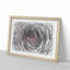 A Pale Pink Rose in Abstract - Picture Frame Graphic Art Print-55629845-55629840