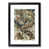 Black Framed selected