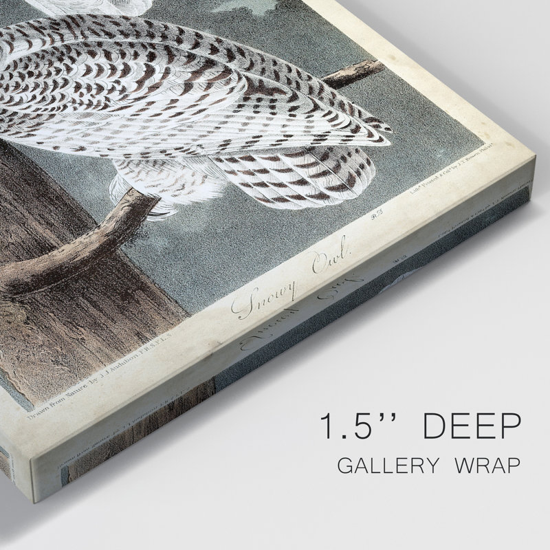 Audubons Snowy Owl - impression sur toile tendue, H 36 po x l 24 po x P 1 po