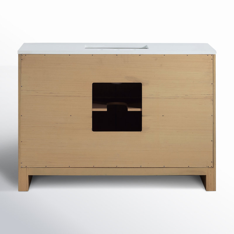 Raye 48'' Single Bathroom Vanity with Quartz Top