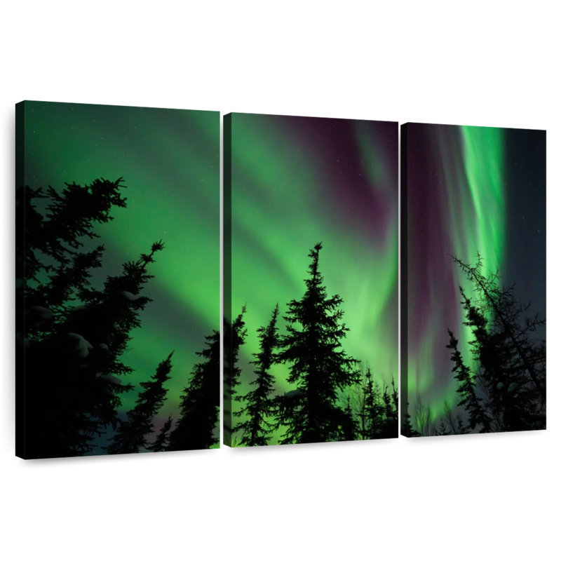 Alvord Fairbanks Aurora Borealis, H 24 po x l 38 po