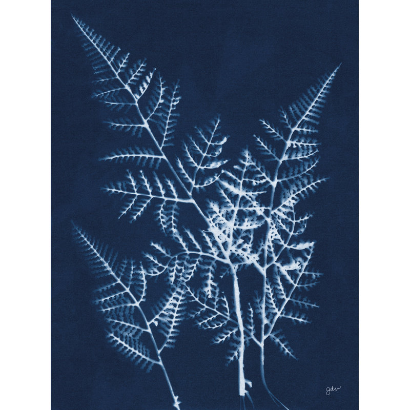 Indigo Small Ferns par Julie Norkus, Canevas, H 48 po x l 36 po, Pas de tapis