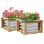 Ensemble de 2 jardinières surélevées Outsunny