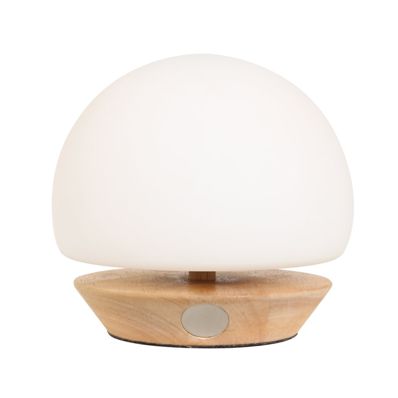 Mijan Solid Wood Novelty Lamp