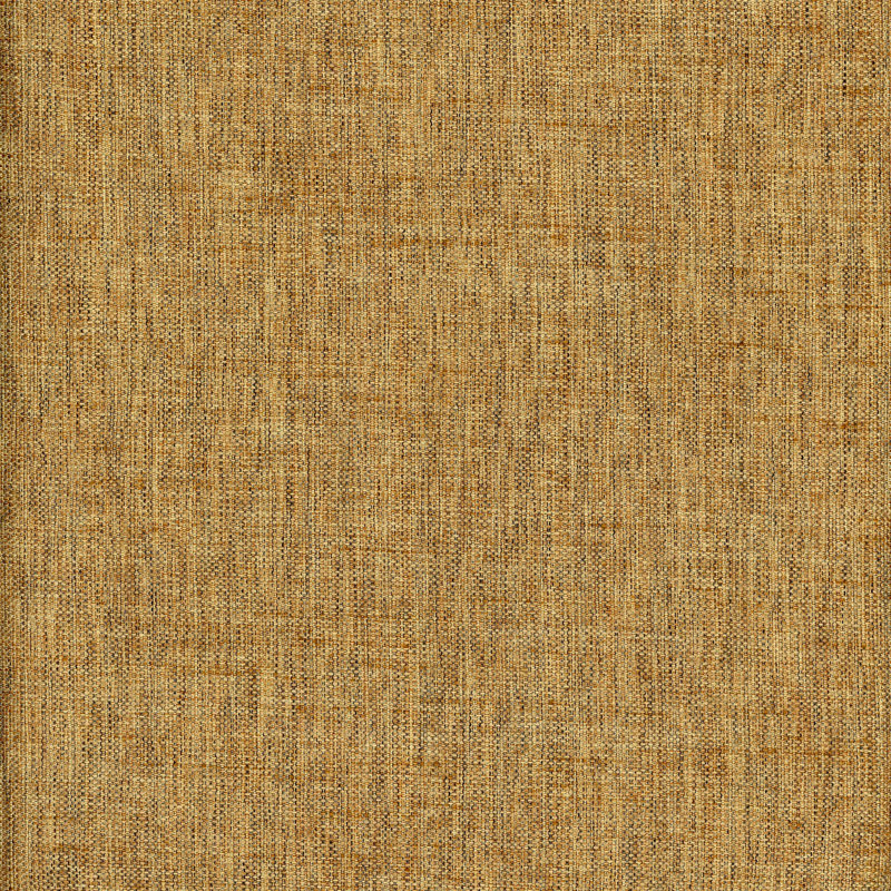 Tissu Cruz, Pièce de monnaie